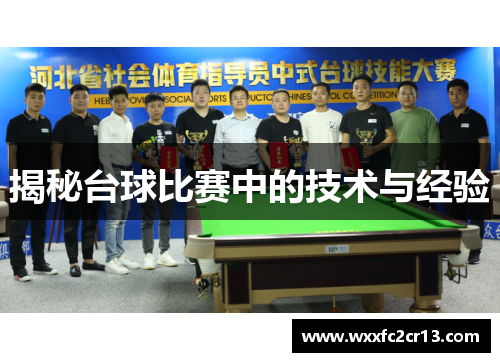 揭秘台球比赛中的技术与经验